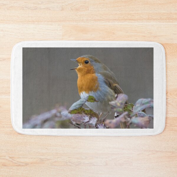 Item preview, Robin designed and sold by LaurenTucker.