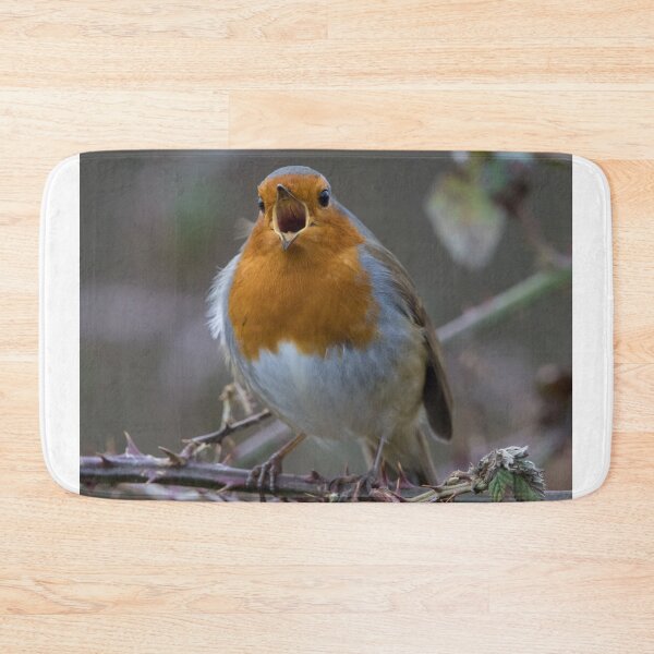 Item preview, Robin designed and sold by LaurenTucker.