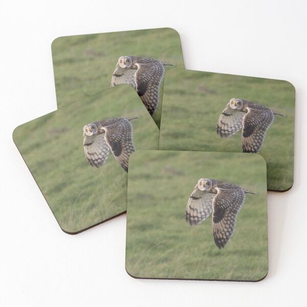 Item preview, Short Eared Owl designed and sold by LaurenTucker.