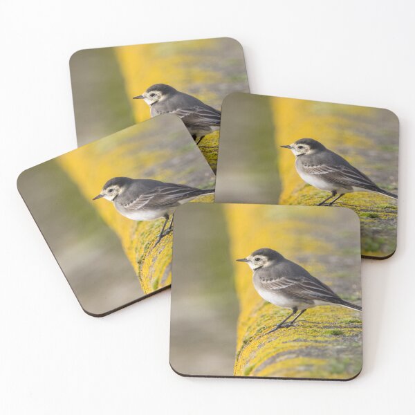 Item preview, Pied Wagtail designed and sold by LaurenTucker.