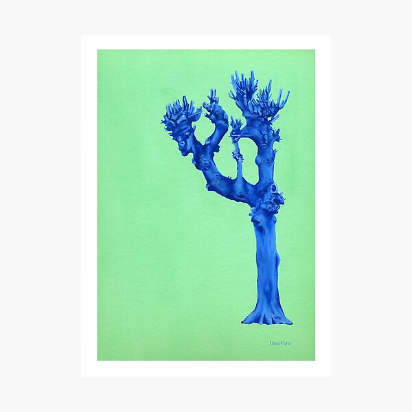 Winter Tree Series 2 Photographic Print