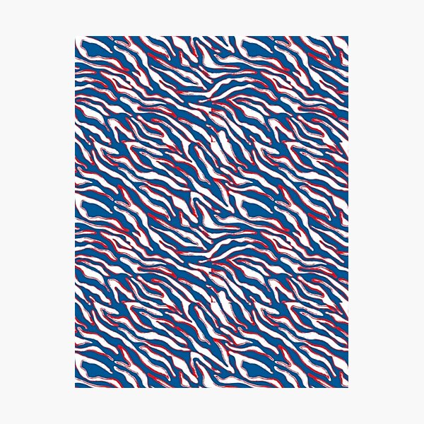 Buffalo Bills Mafia Zubaz Zebra Metal Wall Hanging – Northeast