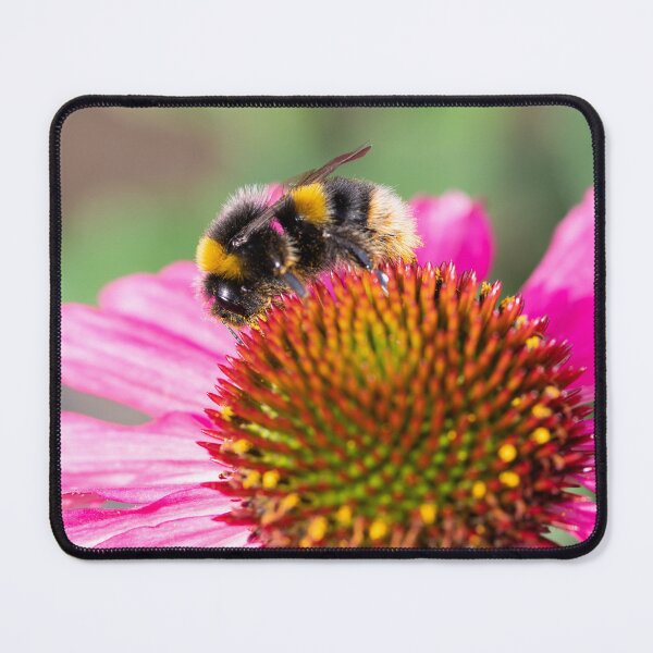 Item preview, A Bumblebee On A Coneflower designed and sold by Tanya C  Smith.