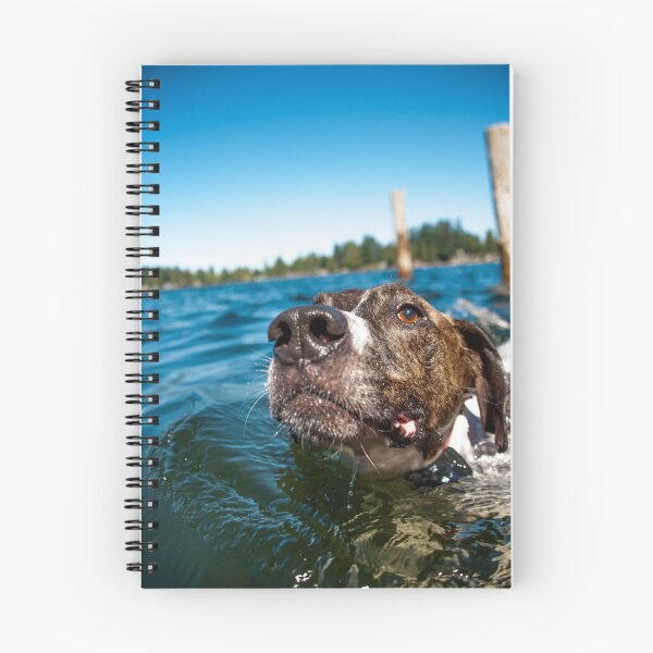 Item preview, Water Dog designed and sold by ddeweyphoto.