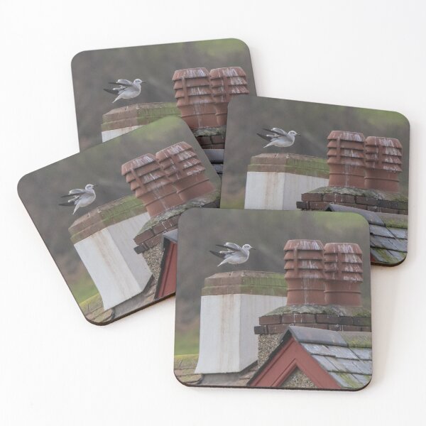 Item preview, Laughing Gull designed and sold by LaurenTucker.