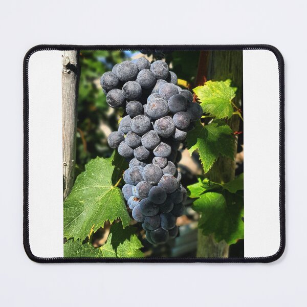 Item preview, wine grapefruit designed and sold by barbich.