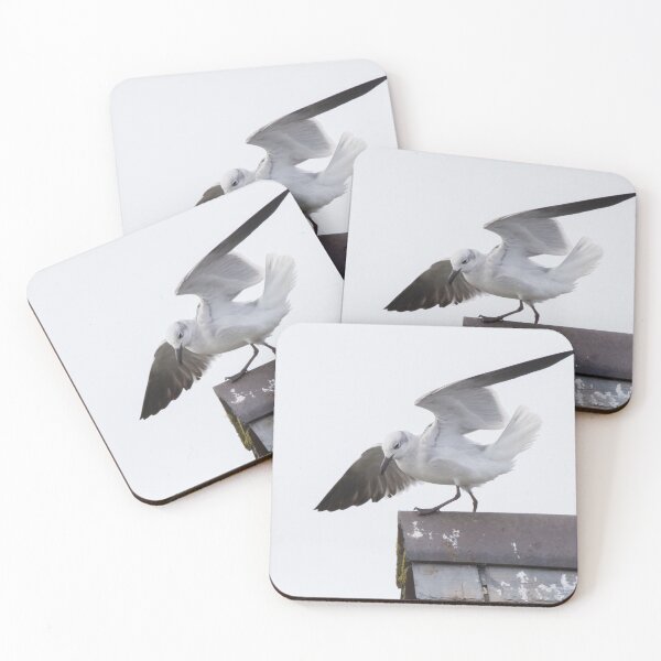 Item preview, Laughing Gull designed and sold by LaurenTucker.