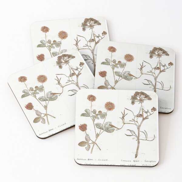 Item preview, Vintage Herbarium Print #3 designed and sold by cotswoldfloral.