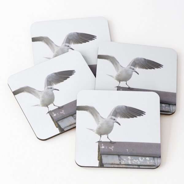 Item preview, Laughing Gull designed and sold by LaurenTucker.