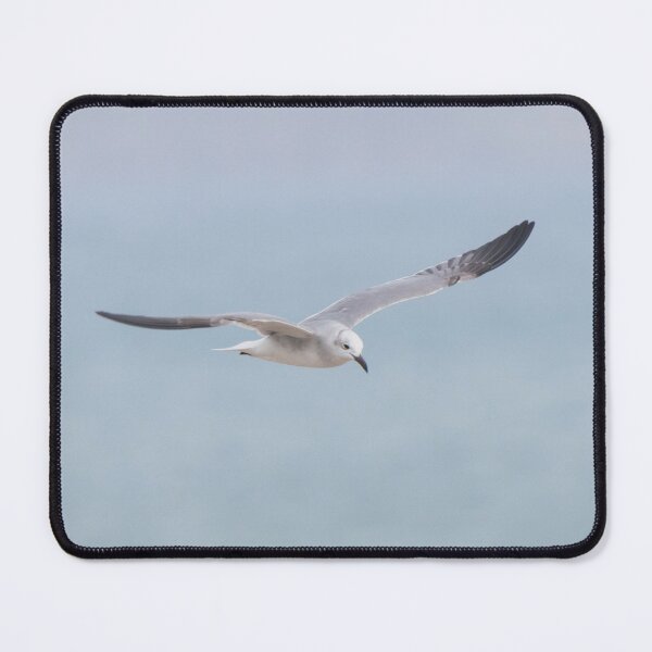 Item preview, Laughing Gull designed and sold by LaurenTucker.