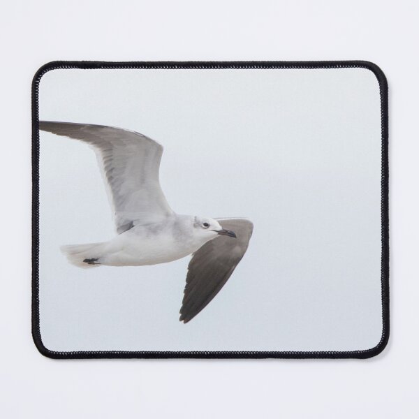 Item preview, Laughing Gull designed and sold by LaurenTucker.