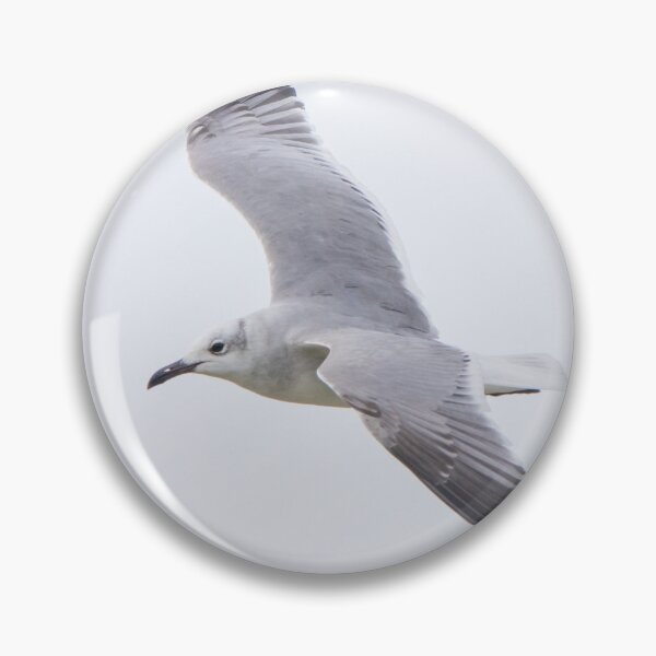 Item preview, Laughing Gull designed and sold by LaurenTucker.