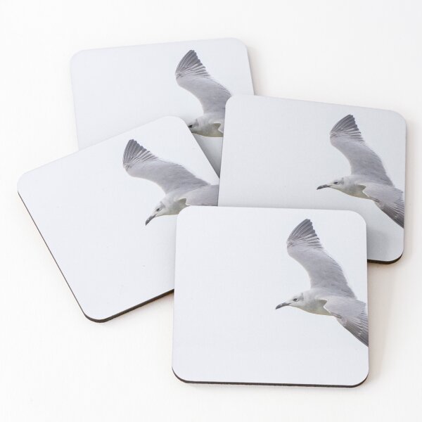 Item preview, Laughing Gull designed and sold by LaurenTucker.
