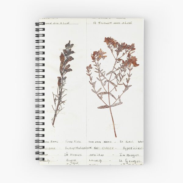 Item preview, Vintage Herbarium Print #2 designed and sold by cotswoldfloral.