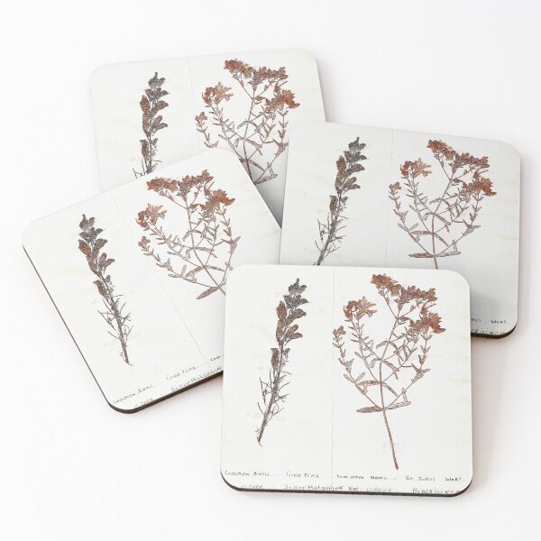Item preview, Vintage Herbarium Print #2 designed and sold by cotswoldfloral.