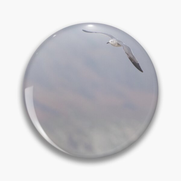Item preview, Laughing Gull designed and sold by LaurenTucker.