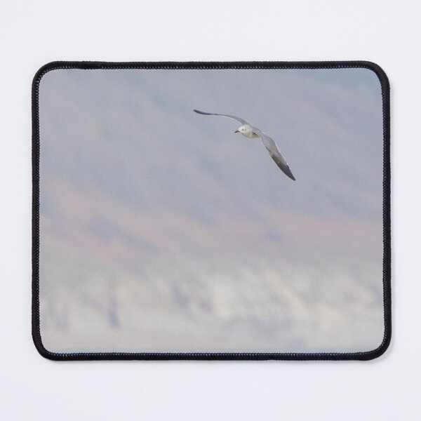 Item preview, Laughing Gull designed and sold by LaurenTucker.
