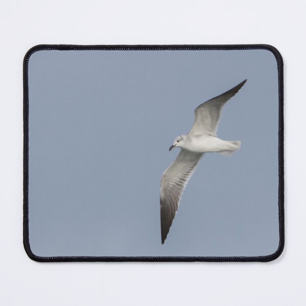 Item preview, Laughing Gull designed and sold by LaurenTucker.