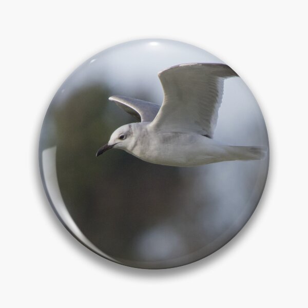 Item preview, Laughing Gull designed and sold by LaurenTucker.