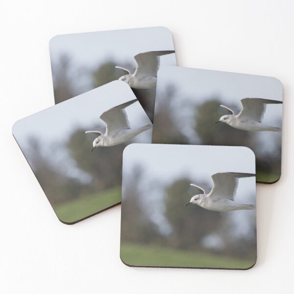 Item preview, Laughing Gull designed and sold by LaurenTucker.