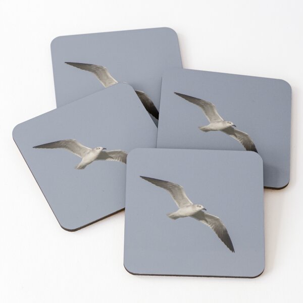 Item preview, Laughing Gull designed and sold by LaurenTucker.