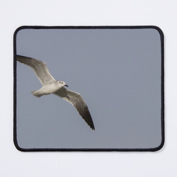 Item preview, Laughing Gull designed and sold by LaurenTucker.