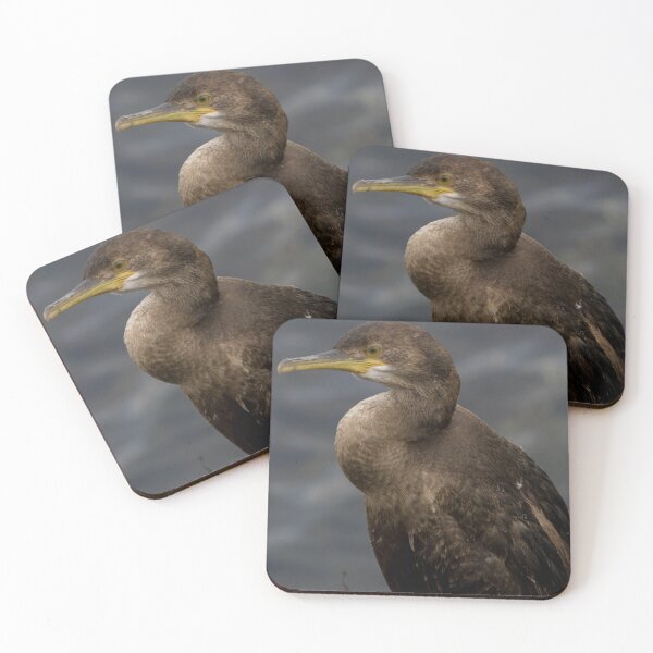 Item preview, Shag designed and sold by LaurenTucker.