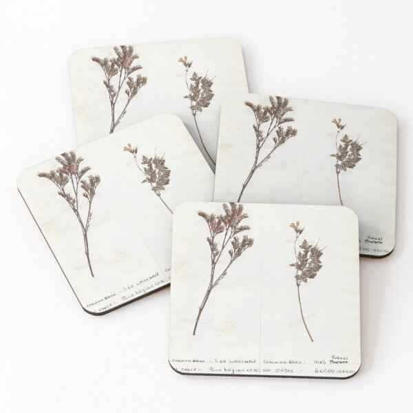 Item preview, Vintage Herbarium Print #1 designed and sold by cotswoldfloral.
