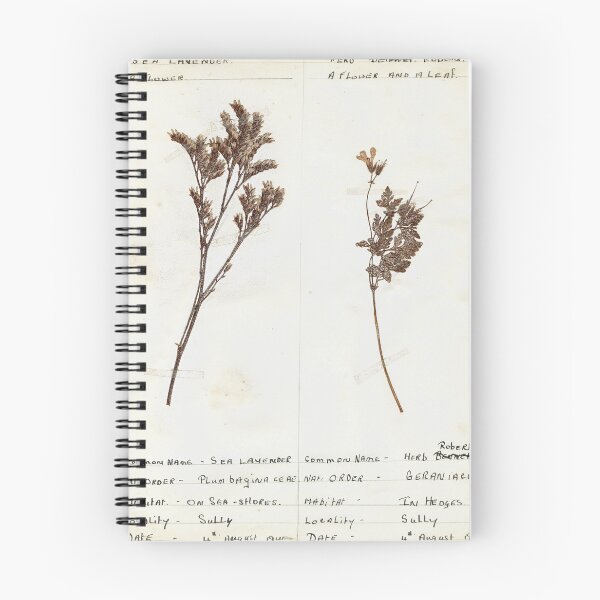 Item preview, Vintage Herbarium Print #1 designed and sold by cotswoldfloral.