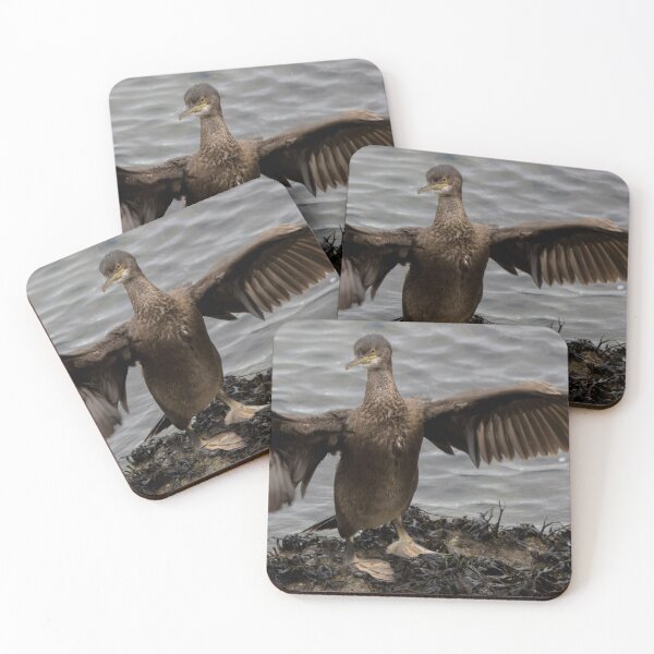 Item preview, Shag designed and sold by LaurenTucker.
