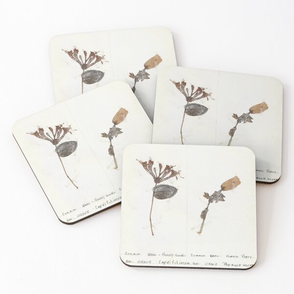 Item preview, Vintage Herbarium Print #4 designed and sold by cotswoldfloral.