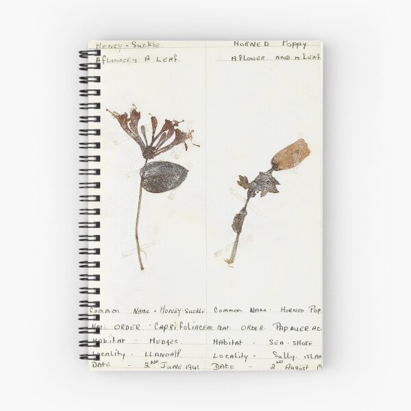 Item preview, Vintage Herbarium Print #4 designed and sold by cotswoldfloral.