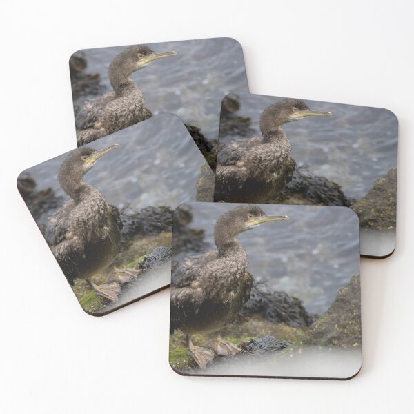 Item preview, Shag designed and sold by LaurenTucker.