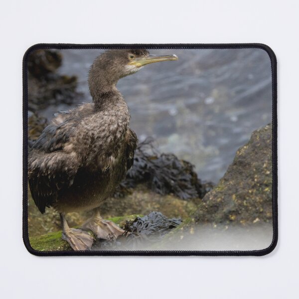 Item preview, Shag designed and sold by LaurenTucker.