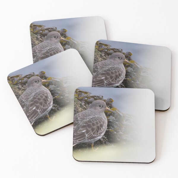 Item preview, Purple Sandpiper designed and sold by LaurenTucker.