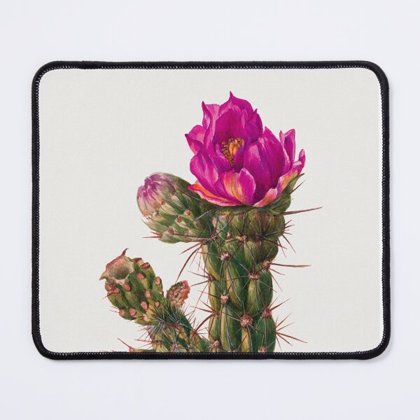 Item preview, Beautiful cactus designed and sold by shop-by-m.
