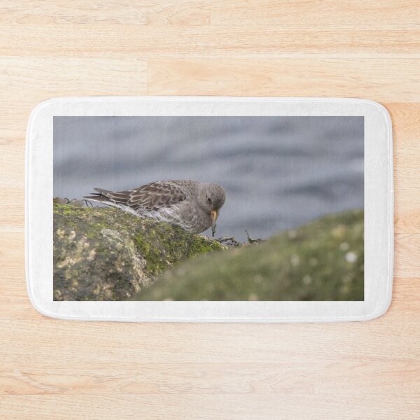 Item preview, Purple Sandpiper designed and sold by LaurenTucker.