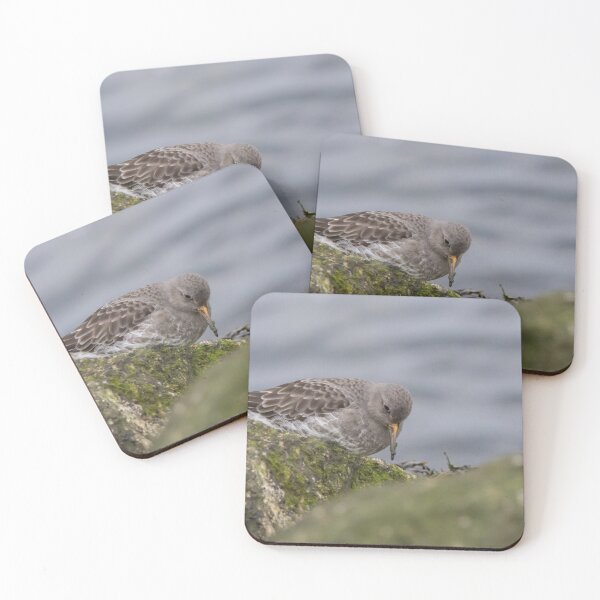 Item preview, Purple Sandpiper designed and sold by LaurenTucker.