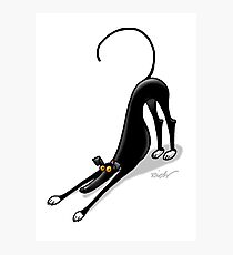 Bowdown Hound Photographic Print