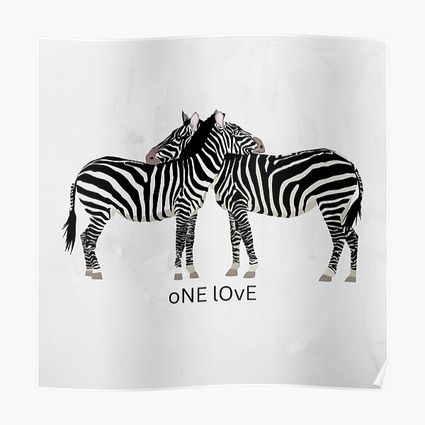 Relativiteitstheorie pk donker Zebra Language" Poster for Sale by WitshireW | Redbubble