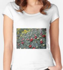 Shrub Women's Fitted Scoop T-Shirt