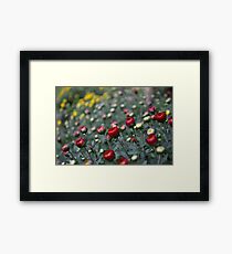 Shrub Framed Print