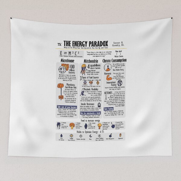 Item preview, Visual Book The Energy Paradox (Steven Gundry) designed and sold by TKsuited.