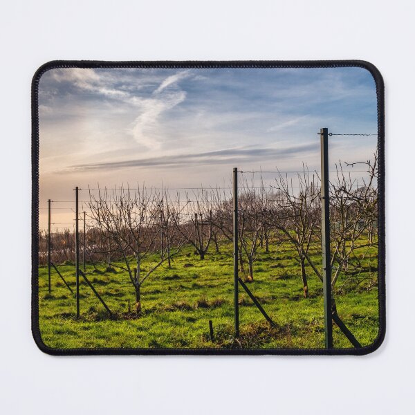 Item preview, Orchard designed and sold by jasminewang.