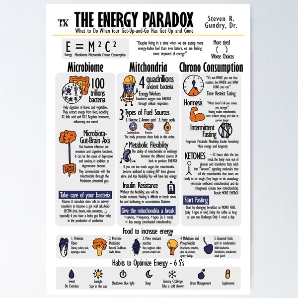 Item preview, Visual Book The Energy Paradox (Steven Gundry) designed and sold by TKsuited.