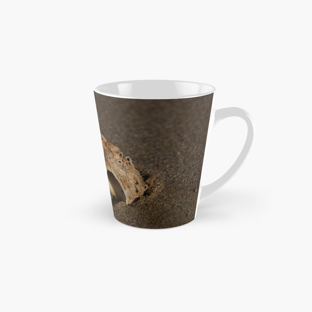 Weathered Whelk on Fahan Beach Mug