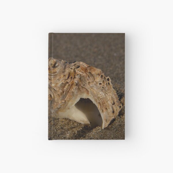 Weathered Whelk on Fahan Beach Hardcover Journal