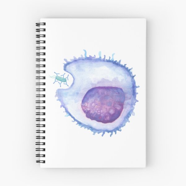 Item preview, Phagocytosis WBC white blood cell designed and sold by labstud.