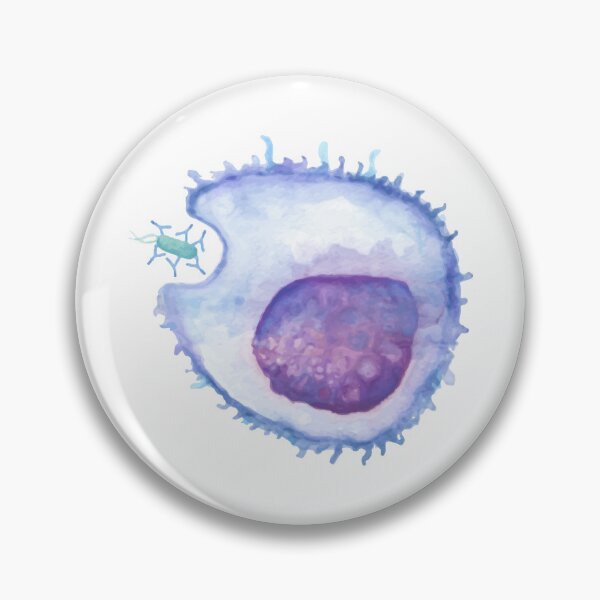Item preview, Phagocytosis WBC white blood cell designed and sold by labstud.