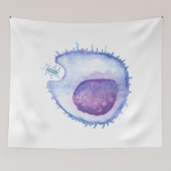 Item preview, Phagocytosis WBC white blood cell designed and sold by labstud.